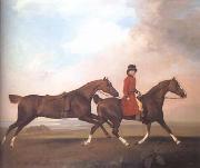 STUBBS, George William Anderson with Two Saddle Horses (mk25) Germany oil painting artist